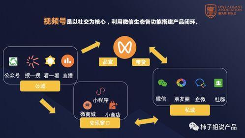 吃瓜娱乐号剪辑技巧分析,独家剪辑技巧大公开